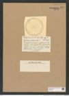 Coscinodiscus radiatus Castr. (de-Toni-Nr.: Genus 202, Species 5198) Zeichnungen Sammlung Grunow Nr. 8911 (NHMW-BOT-W0378576)